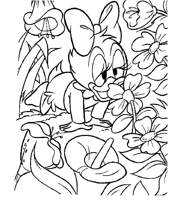 coloriage bebe daisy et fleurs